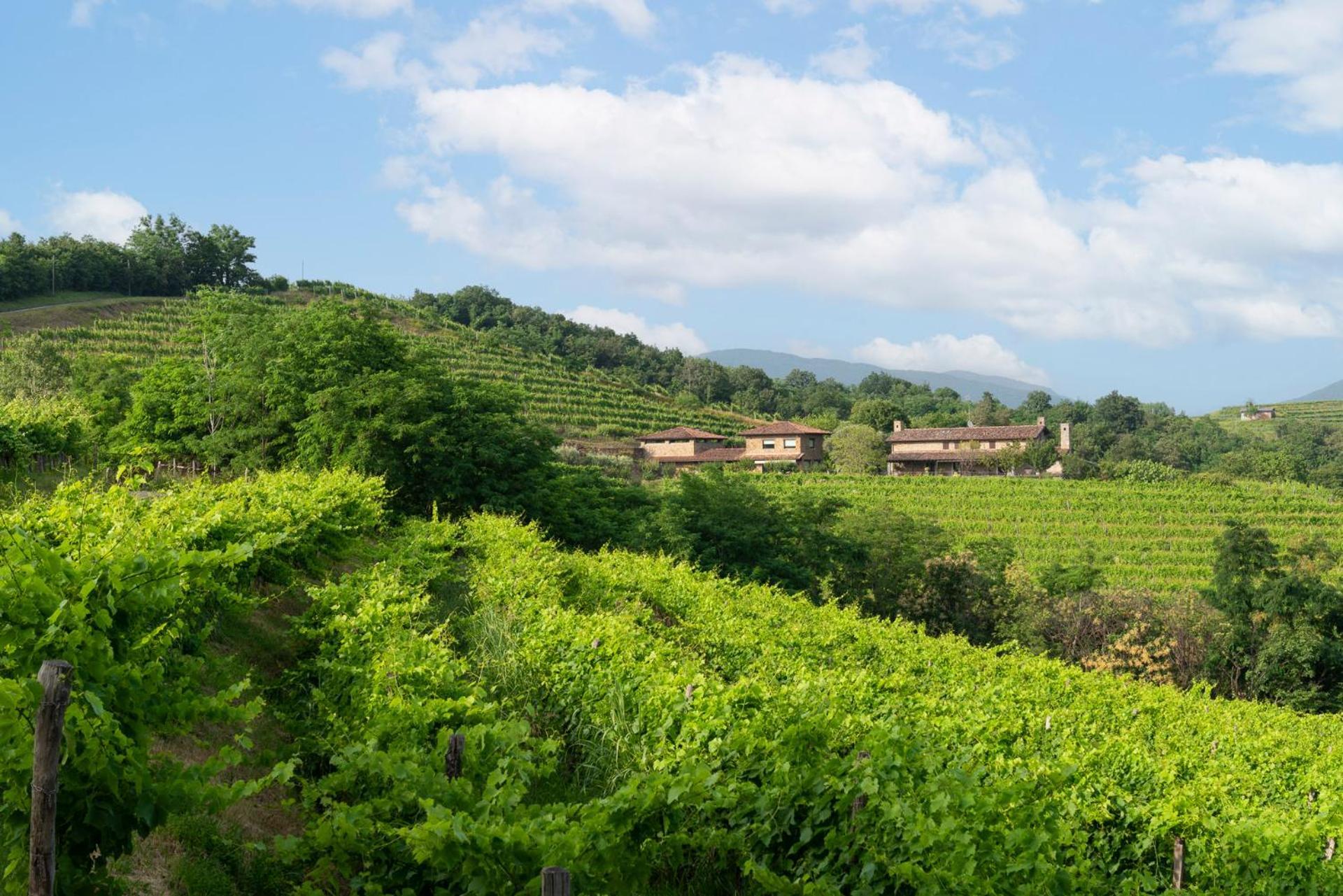 Villa Lis Fadis Wine Relais Cividale del Friuli Exterior foto